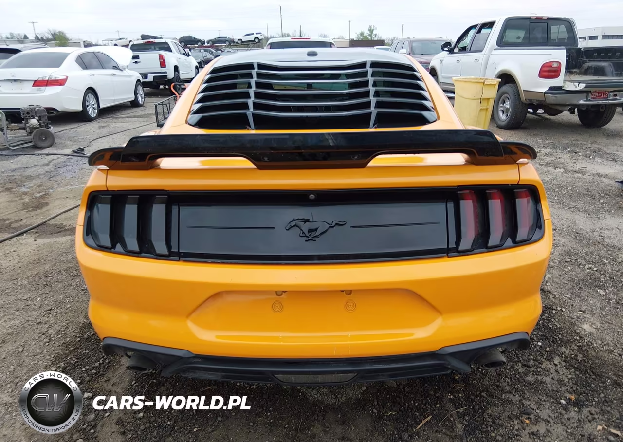 2019 Ford Mustang Ecoboost VIN:1FA6P8TH0K5118423 - 16