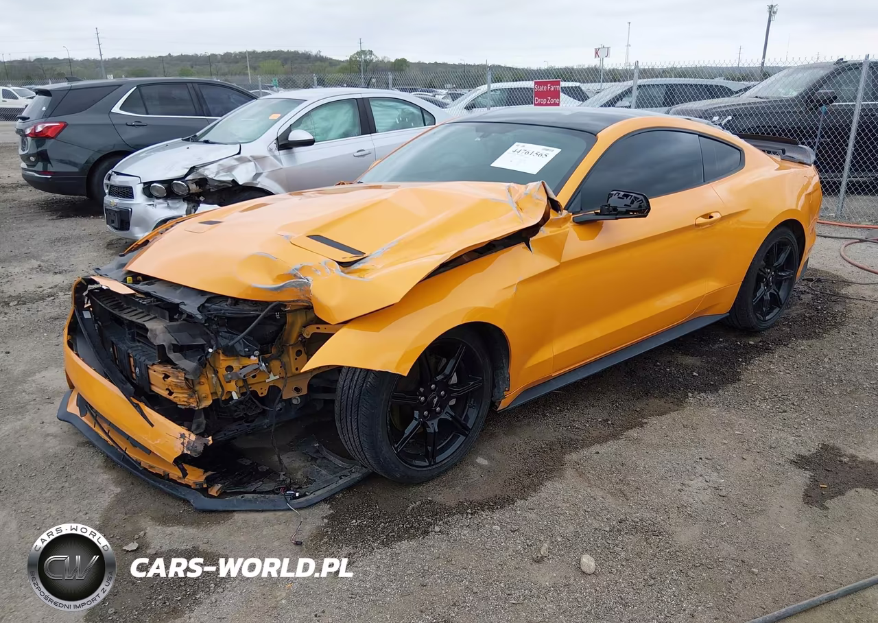 2019 Ford Mustang Ecoboost VIN:1FA6P8TH0K5118423 - 2