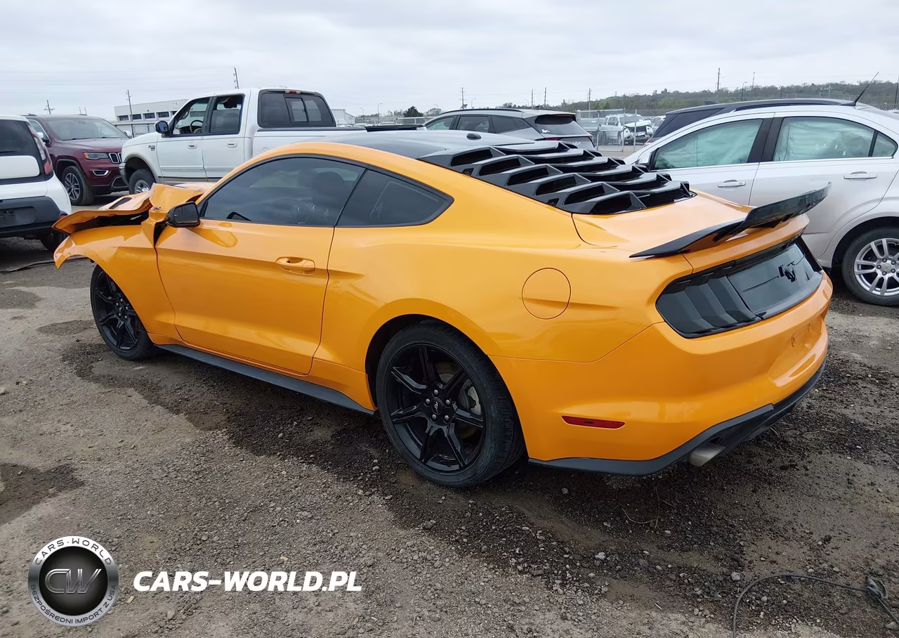2019 Ford Mustang Ecoboost VIN:1FA6P8TH0K5118423 - 3
