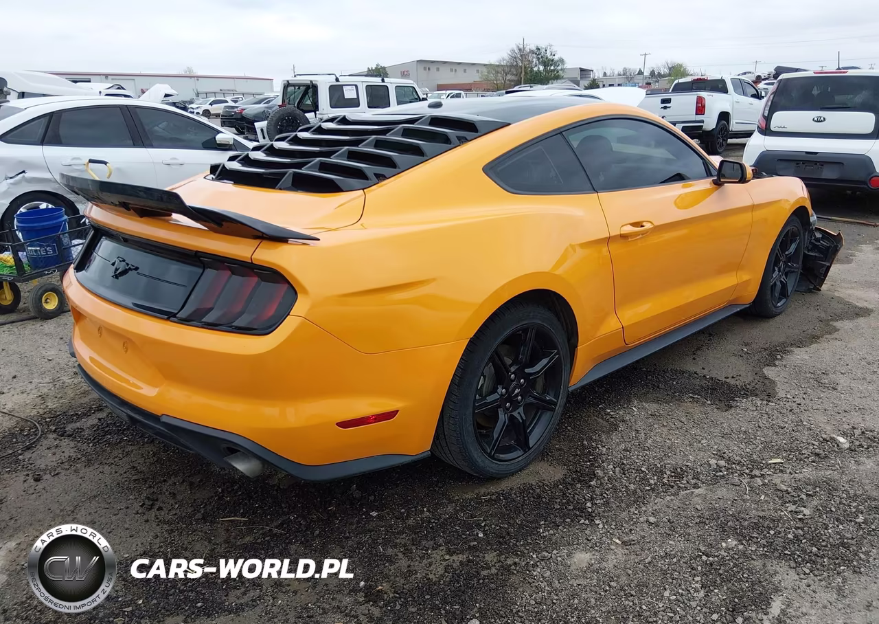 2019 Ford Mustang Ecoboost VIN:1FA6P8TH0K5118423 - 4