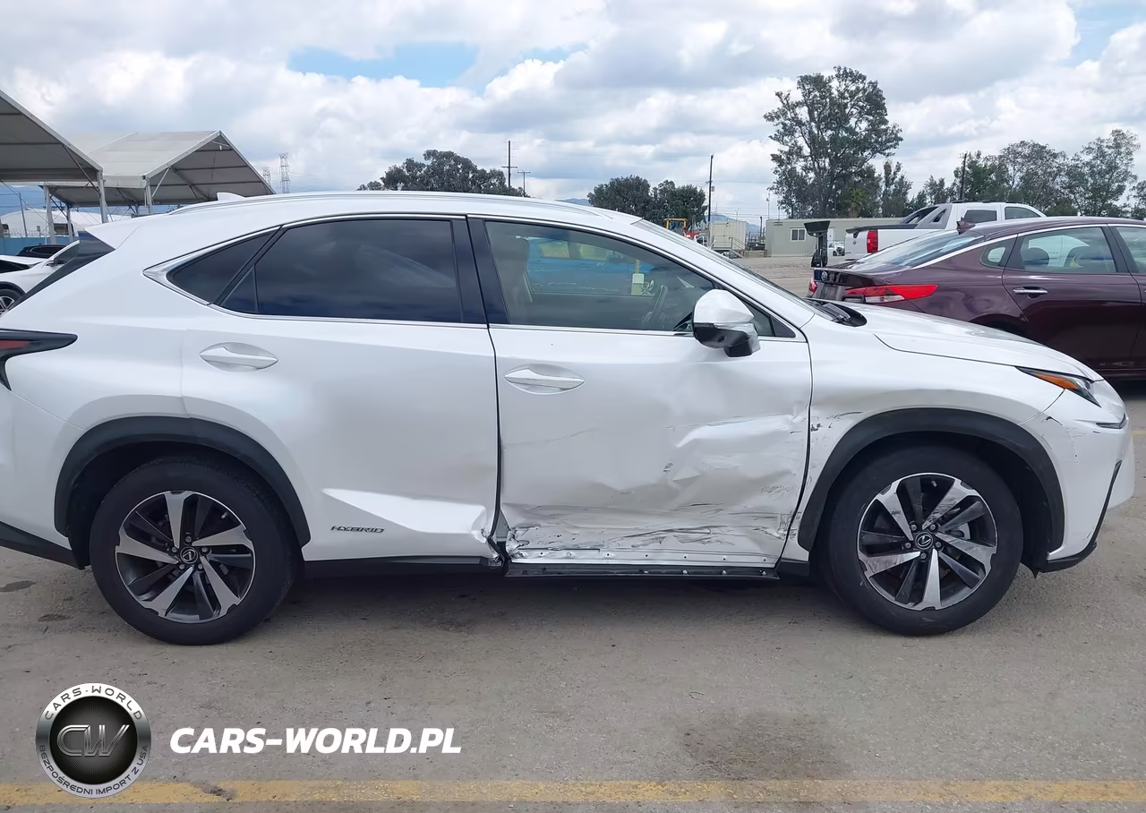 2021 Lexus Nx 300H VIN:JTJGJRDZ1M5013595 - 13