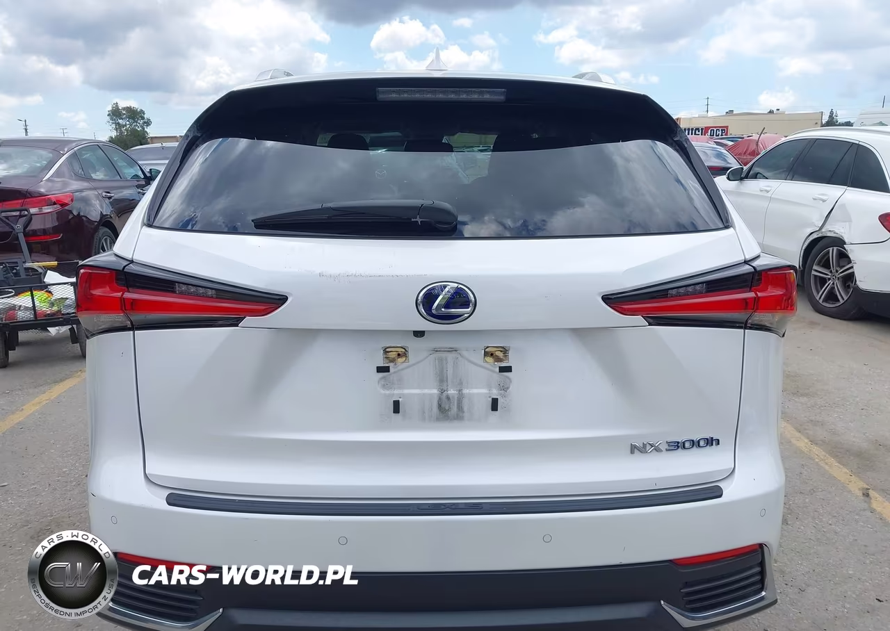 2021 Lexus Nx 300H VIN:JTJGJRDZ1M5013595 - 16