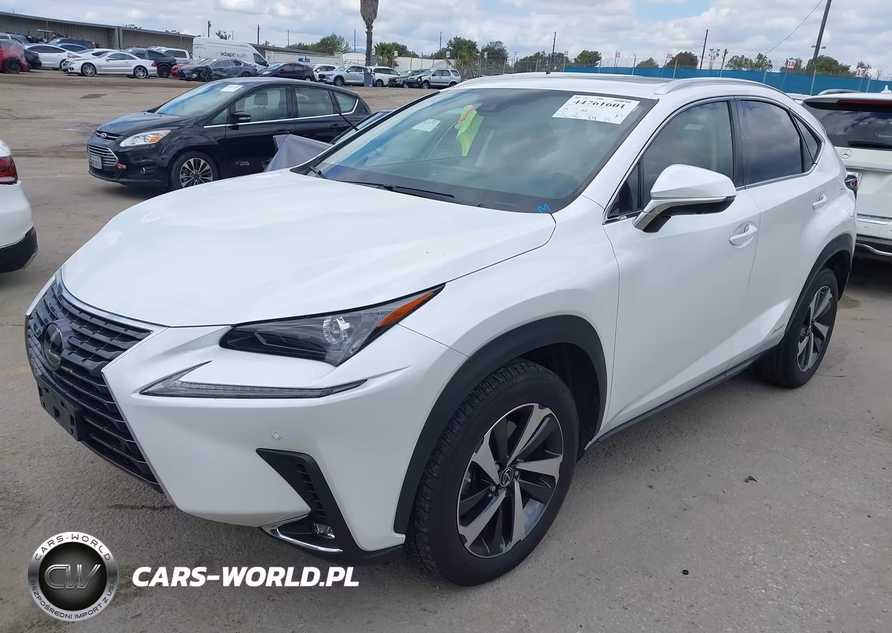 2021 Lexus Nx 300H VIN:JTJGJRDZ1M5013595 - 2