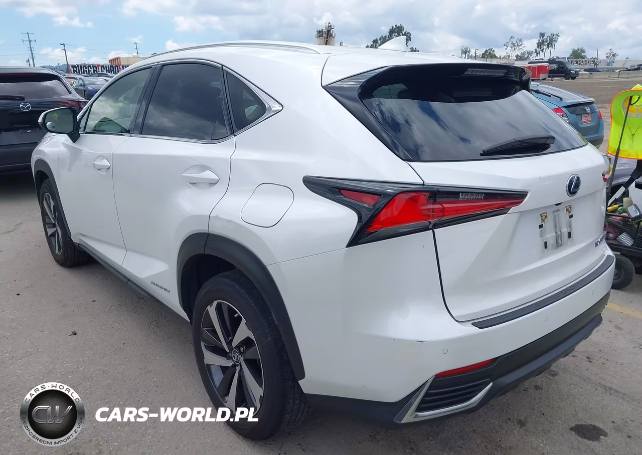 2021 Lexus Nx 300H VIN:JTJGJRDZ1M5013595 - 3