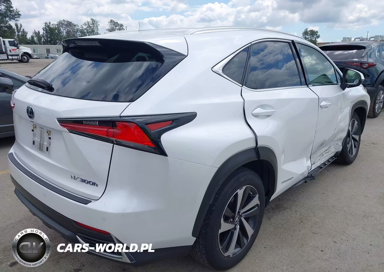 2021 Lexus Nx 300H VIN:JTJGJRDZ1M5013595 - 4
