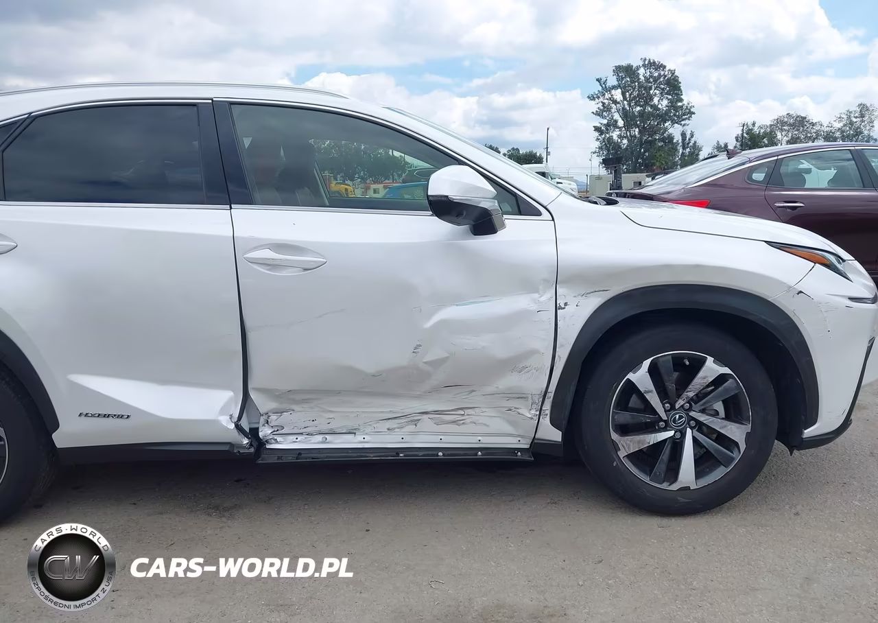 2021 Lexus Nx 300H VIN:JTJGJRDZ1M5013595 - 6