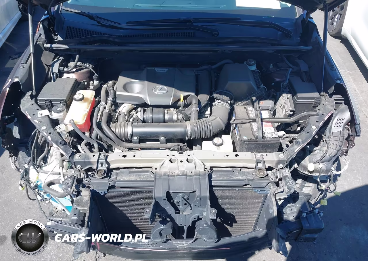 2019 Lexus Nx 300 VIN:JTJYARBZ0K2127495 - 10