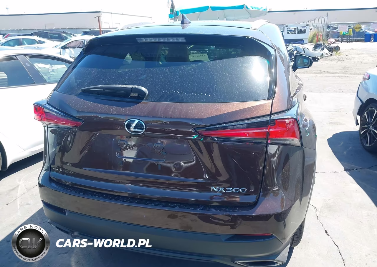 2019 Lexus Nx 300 VIN:JTJYARBZ0K2127495 - 17