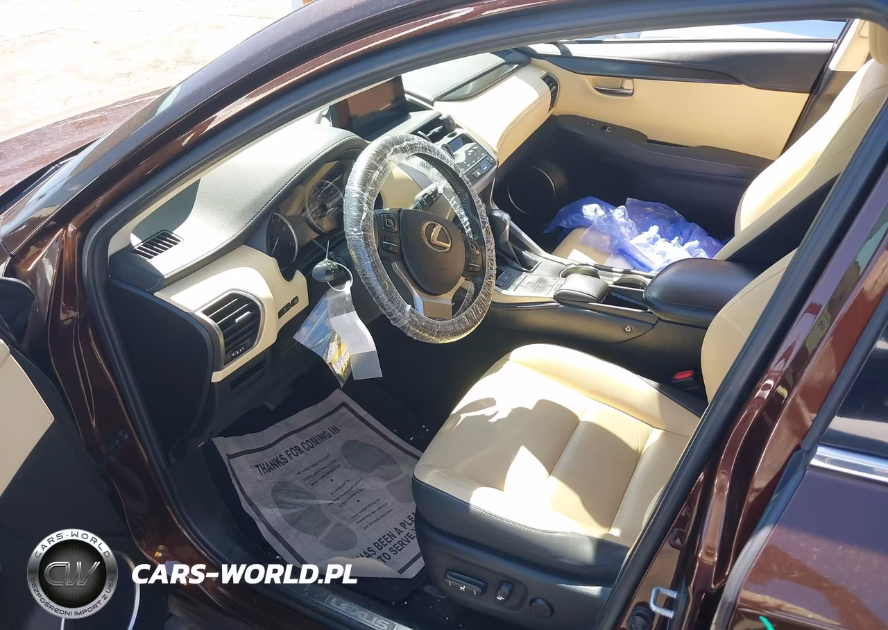 2019 Lexus Nx 300 VIN:JTJYARBZ0K2127495 - 18