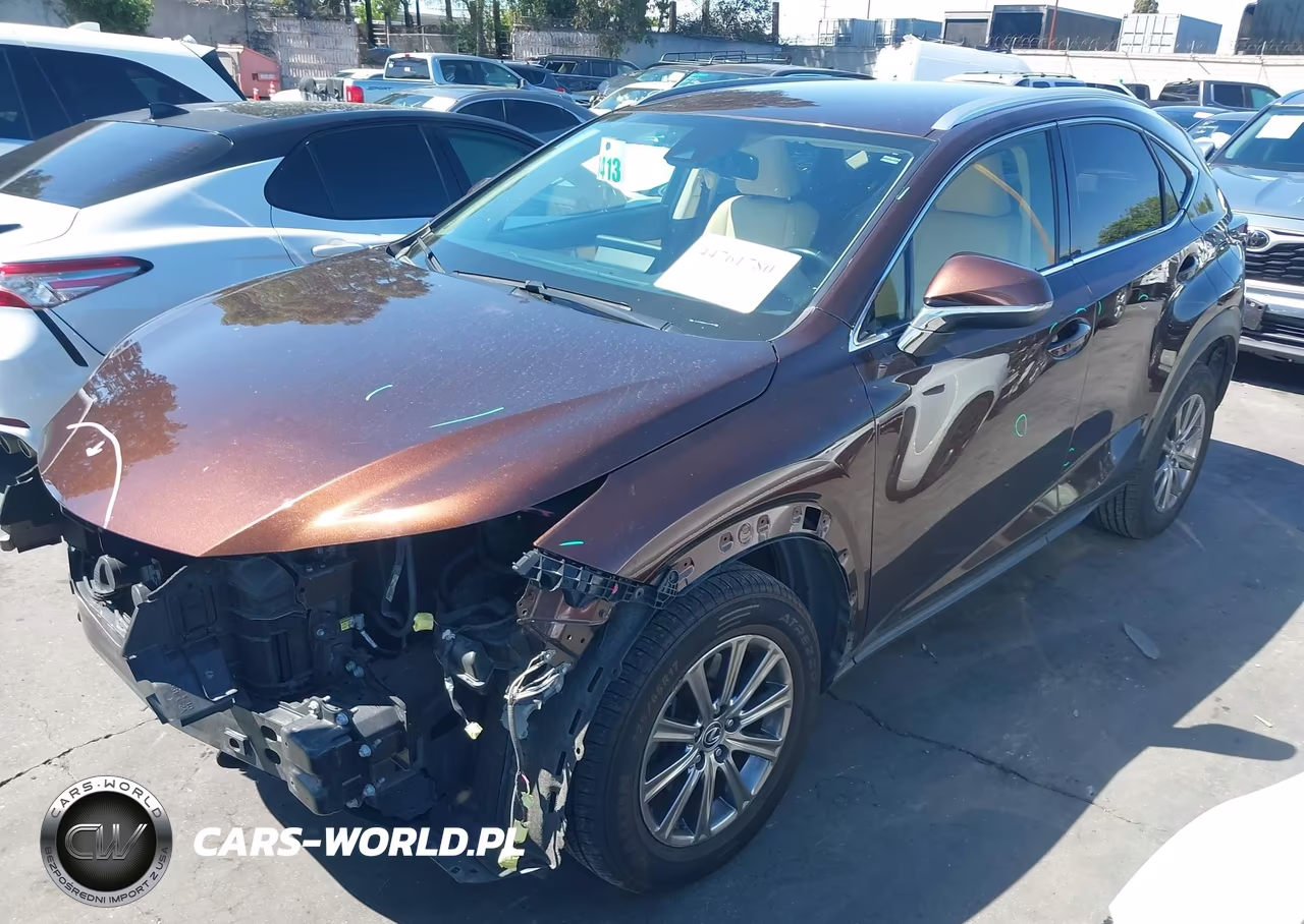 2019 Lexus Nx 300 VIN:JTJYARBZ0K2127495 - 2