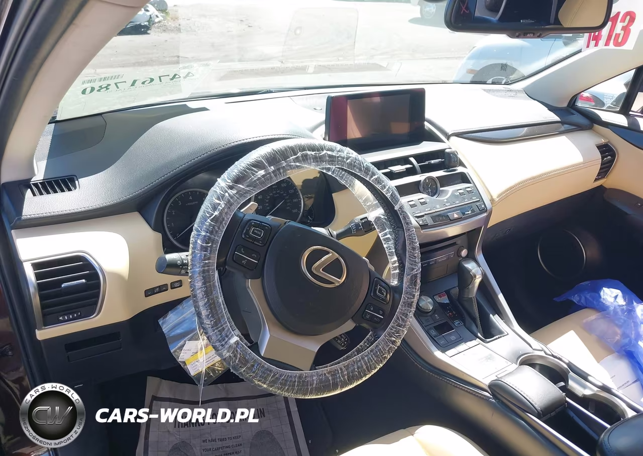 2019 Lexus Nx 300 VIN:JTJYARBZ0K2127495 - 20