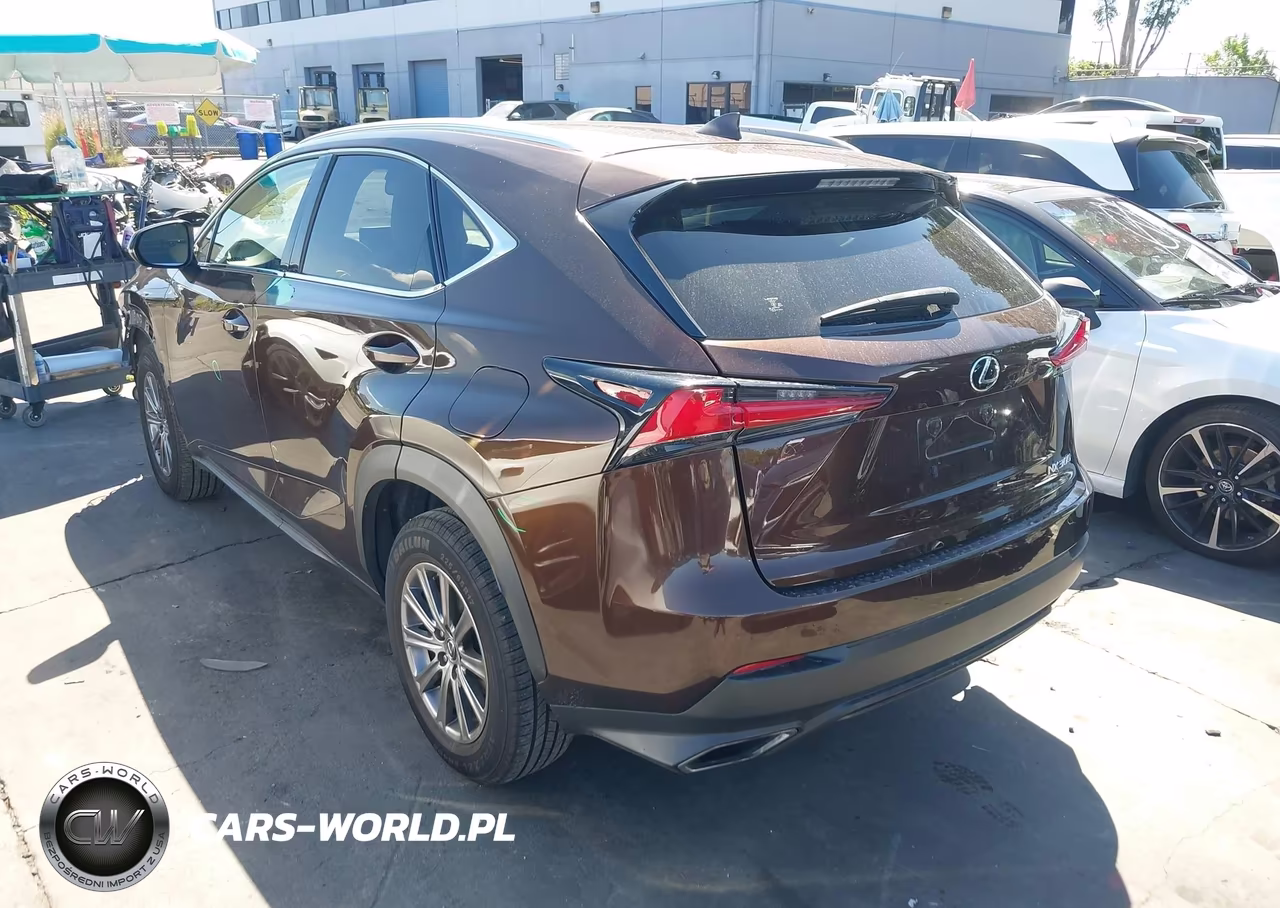 2019 Lexus Nx 300 VIN:JTJYARBZ0K2127495 - 3