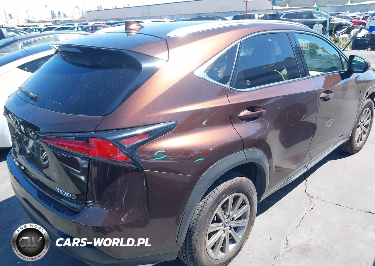 2019 Lexus Nx 300 VIN:JTJYARBZ0K2127495 - 4