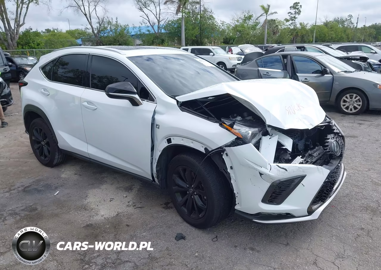2021 Lexus Nx 300 F Sport