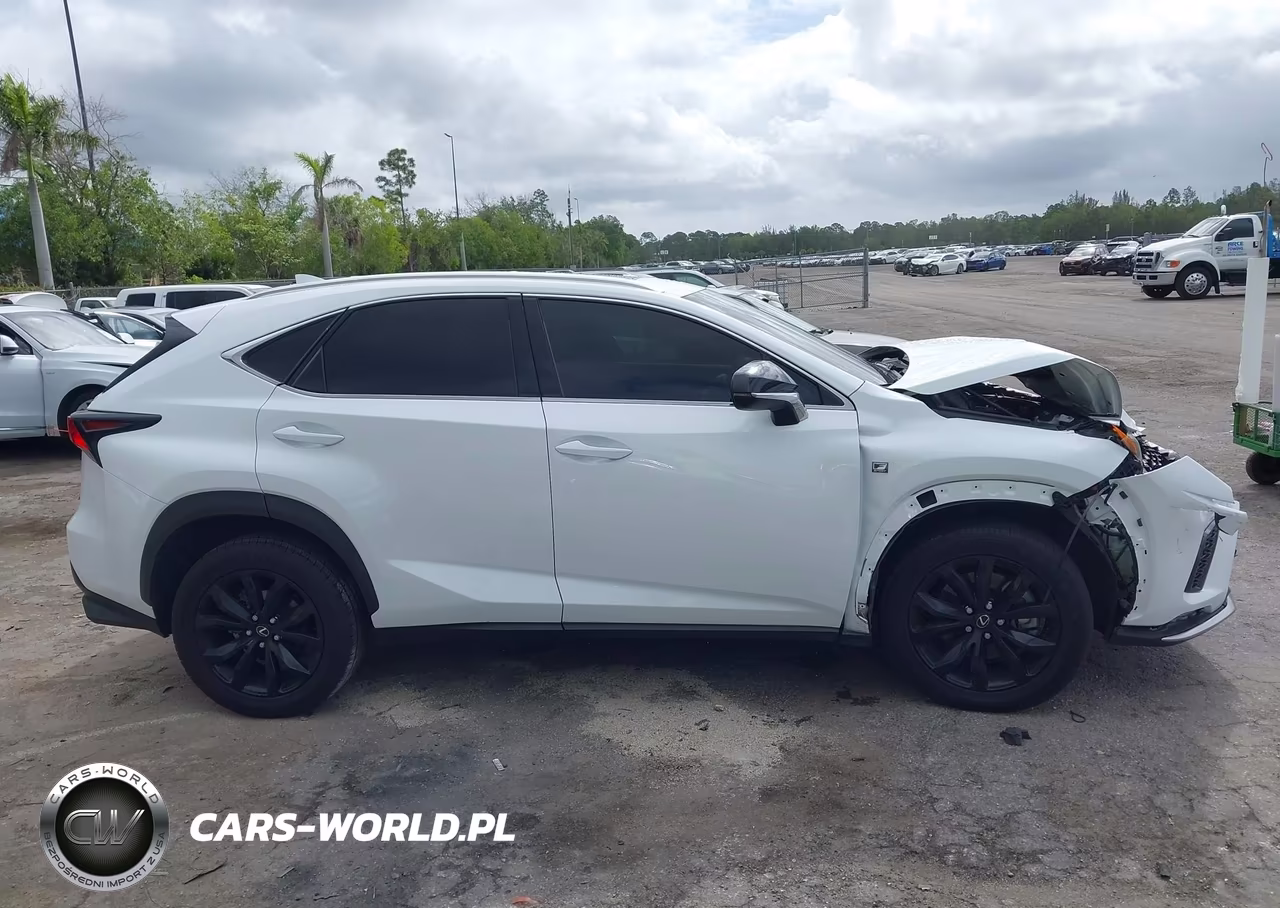 2021 Lexus Nx 300 F Sport VIN:JTJSARBZ3M2201310 - 13