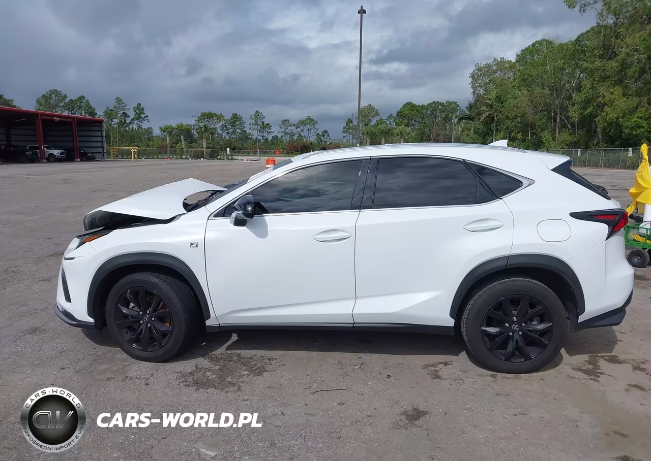 2021 Lexus Nx 300 F Sport VIN:JTJSARBZ3M2201310 - 14
