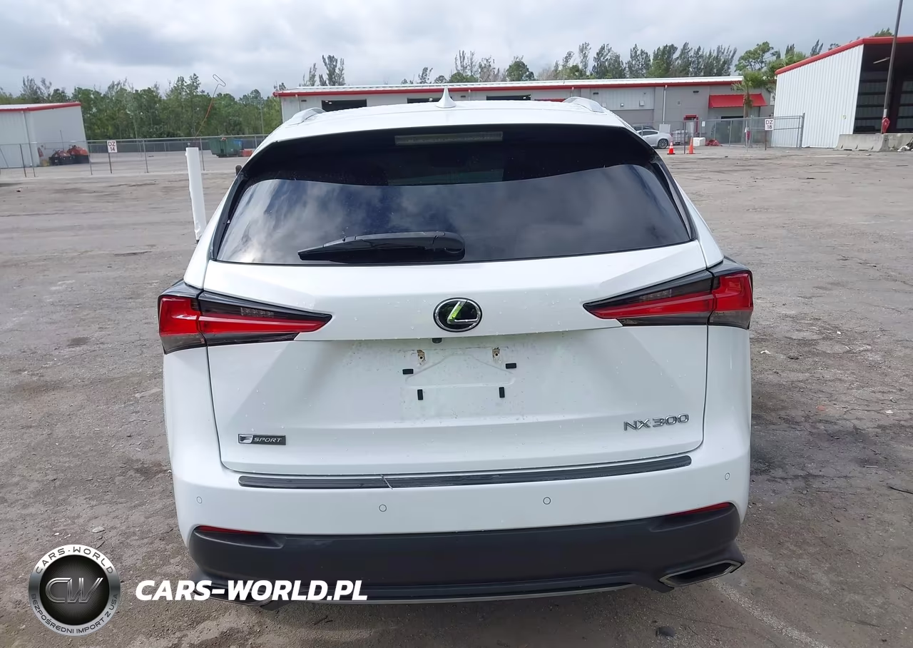 2021 Lexus Nx 300 F Sport VIN:JTJSARBZ3M2201310 - 16