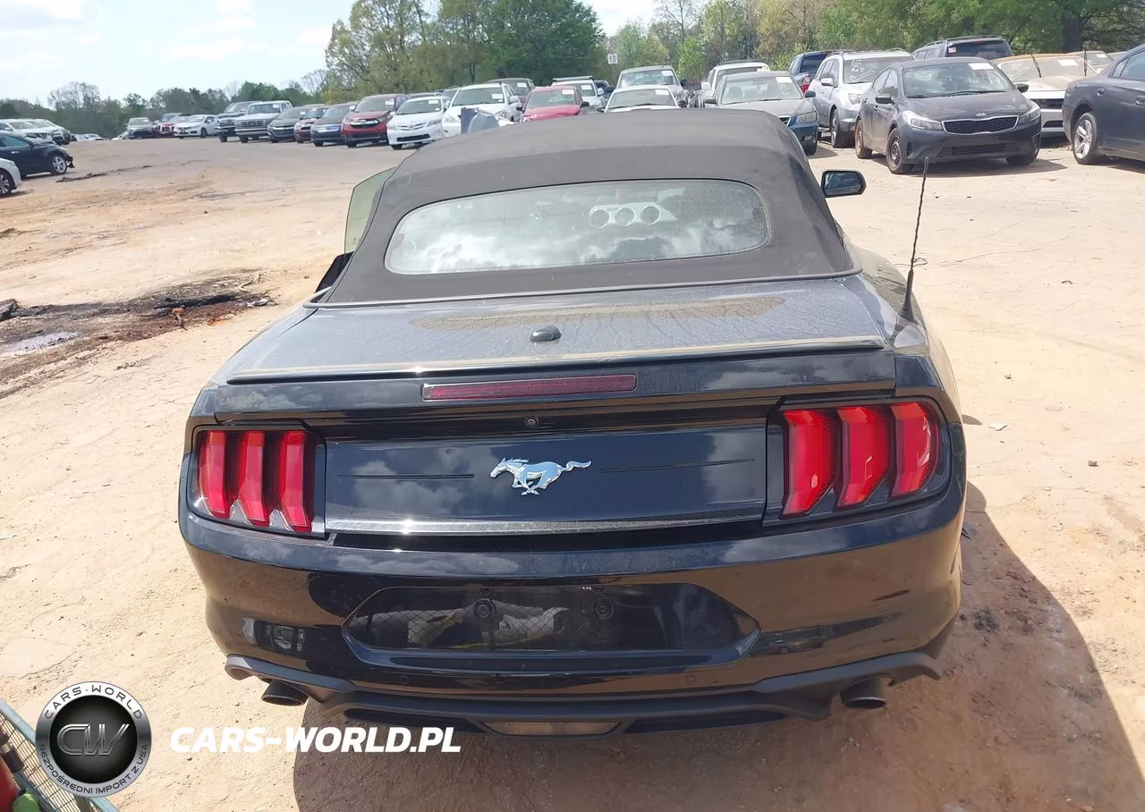 2022 Ford Mustang Ecoboost Premium VIN:1FATP8UH9N5119236 - 16