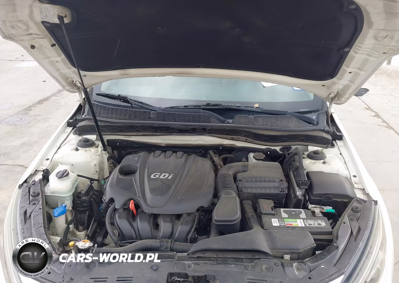 2015 Kia Optima Lx VIN:KNAGM4A75F5663787 - 10