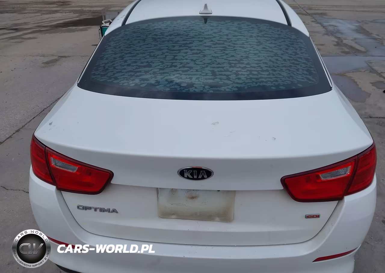 2015 Kia Optima Lx VIN:KNAGM4A75F5663787 - 17