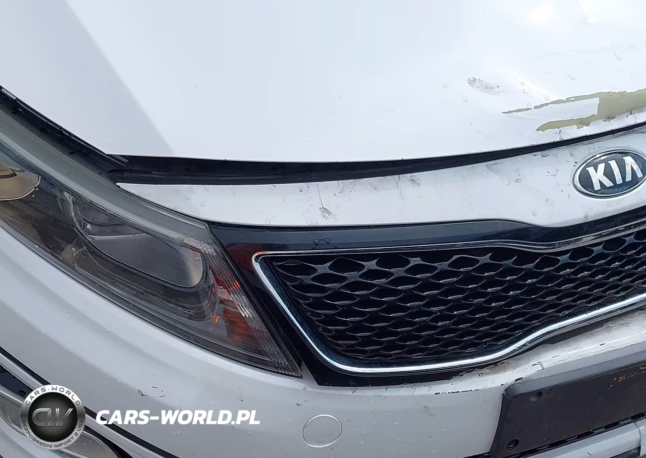 2015 Kia Optima Lx VIN:KNAGM4A75F5663787 - 6