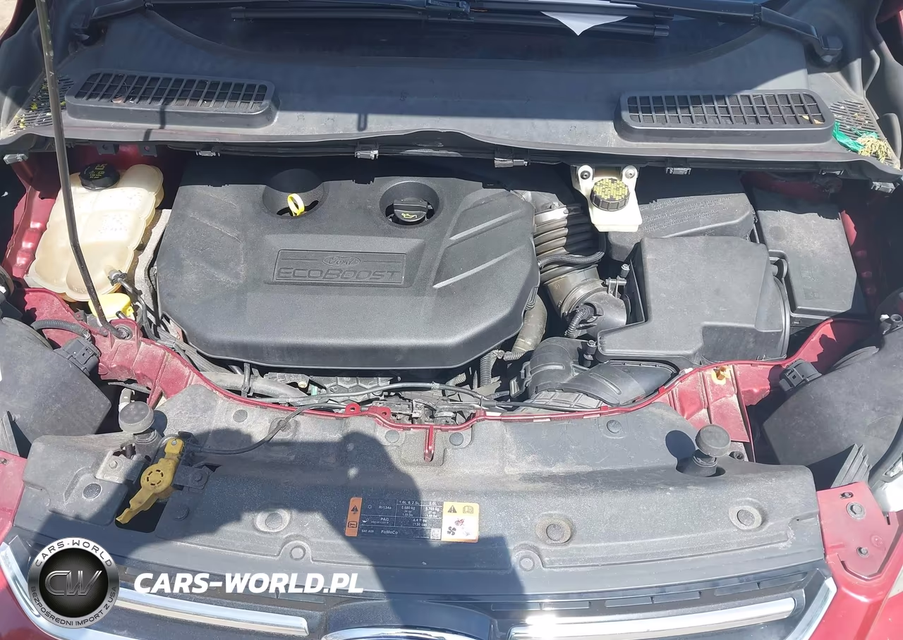 2014 Ford Escape Titanium VIN:1FMCU9J91EUC26661 - 10
