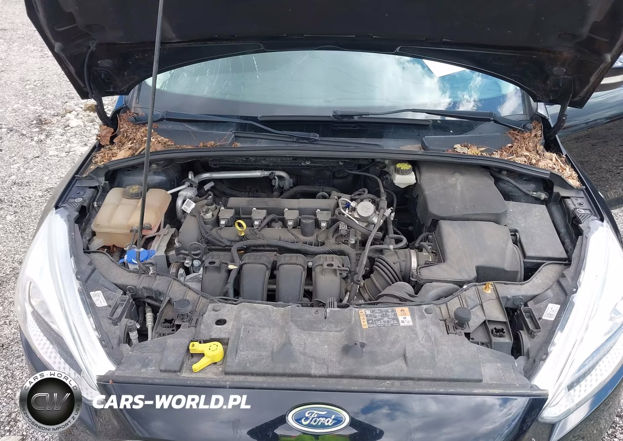 2017 Ford Focus Se VIN:1FADP3F23HL239680 - 10