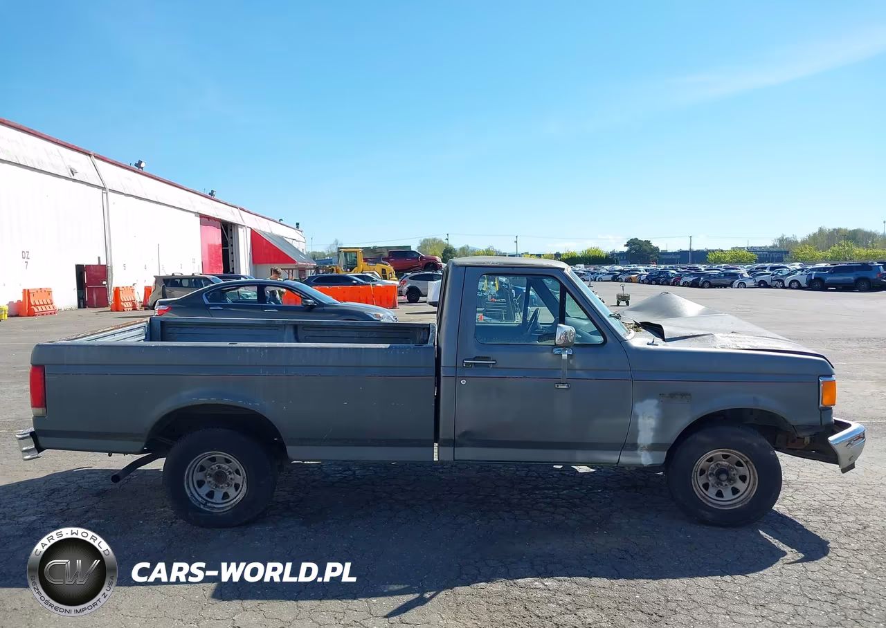 1989 Ford F150 VIN:1FTDF15Y3KNA20396 - 13