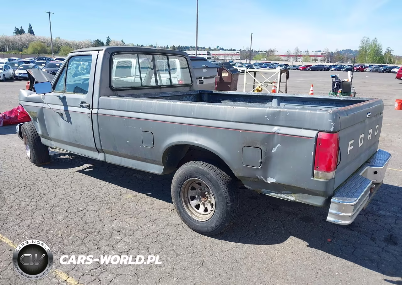 1989 Ford F150 VIN:1FTDF15Y3KNA20396 - 3