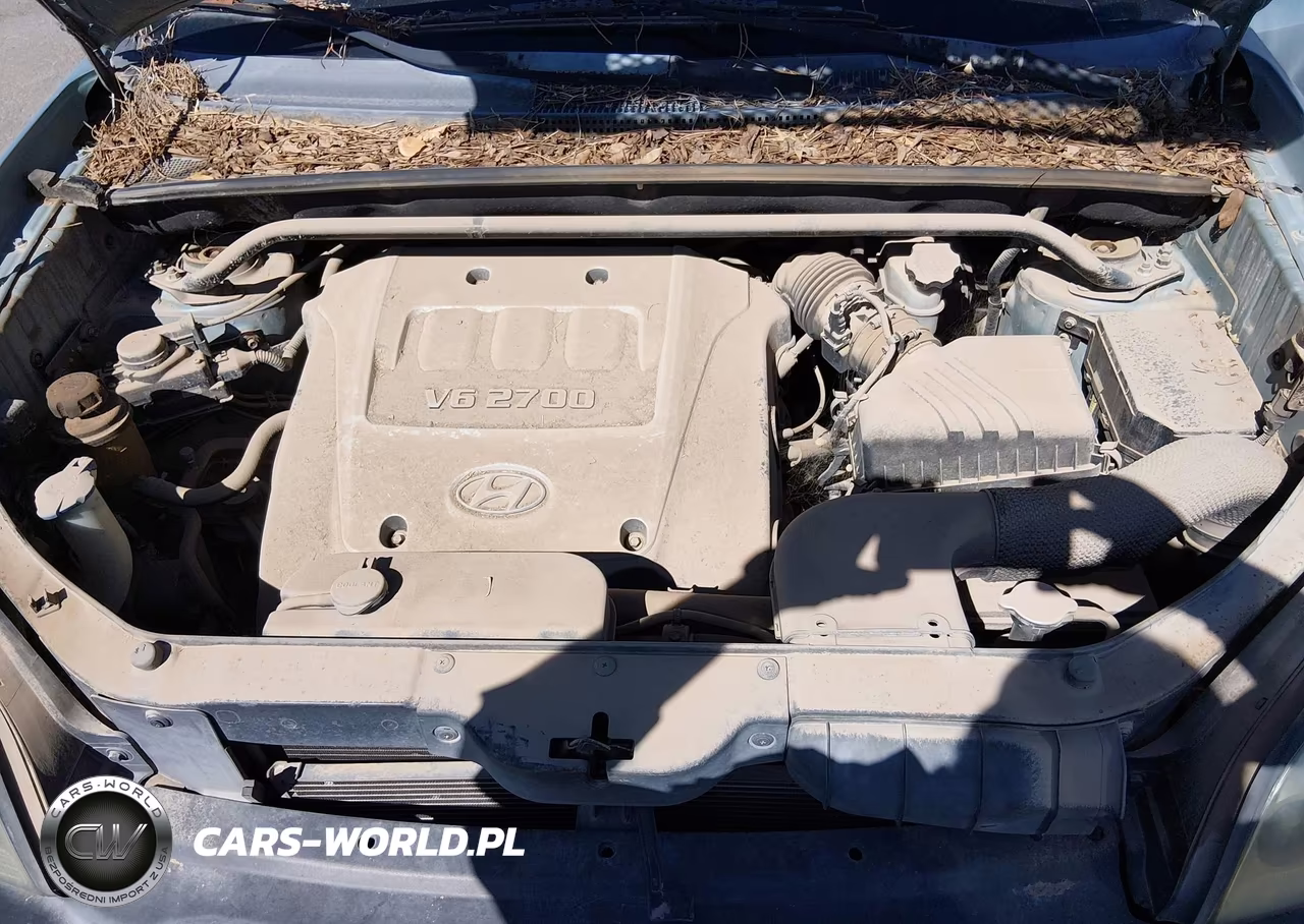 2006 Hyundai Tucson Gls-Limited VIN:KM8JN12D96U359663 - 10