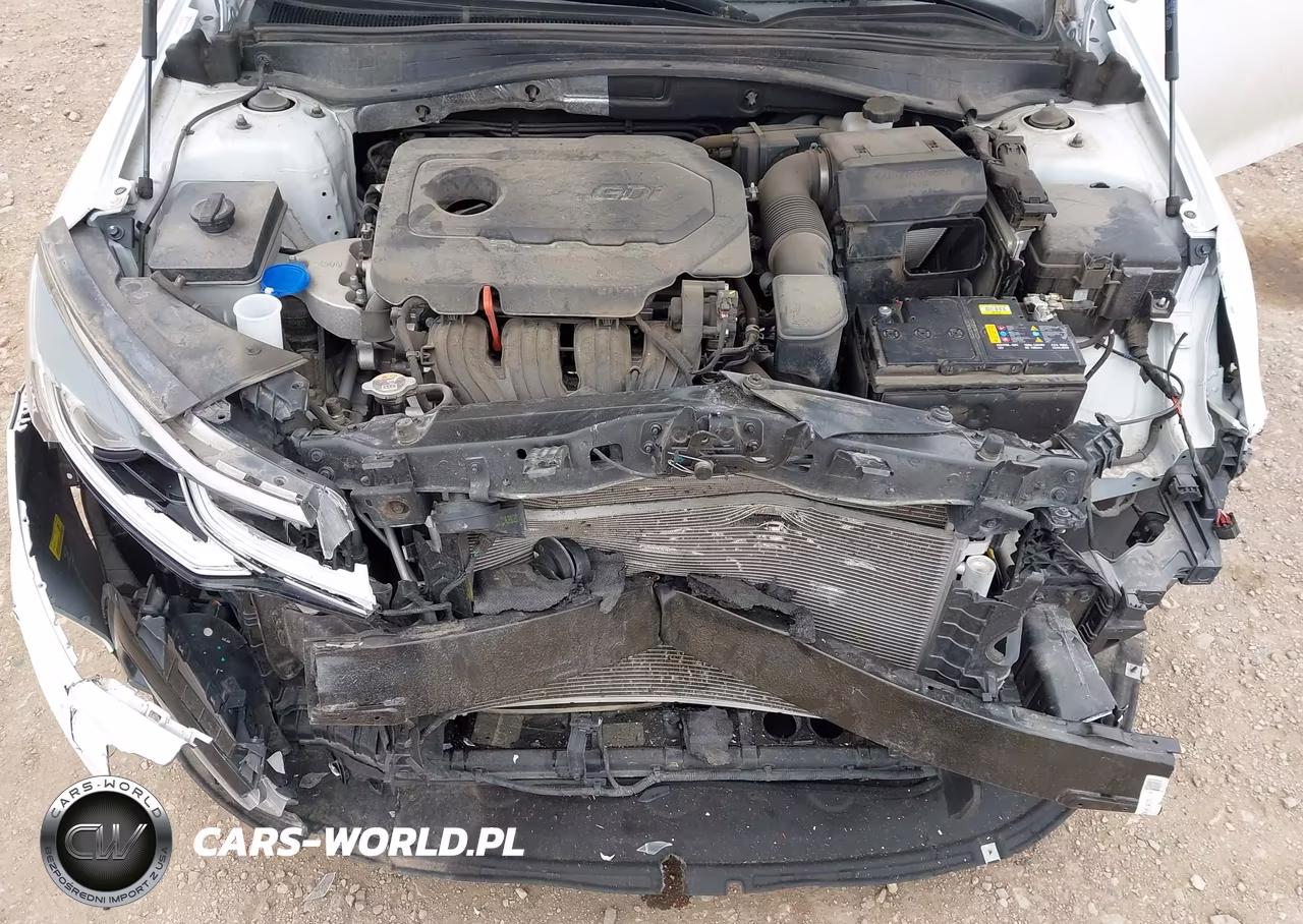 2020 Kia Optima Lx VIN:5XXGT4L39LG401813 - 10