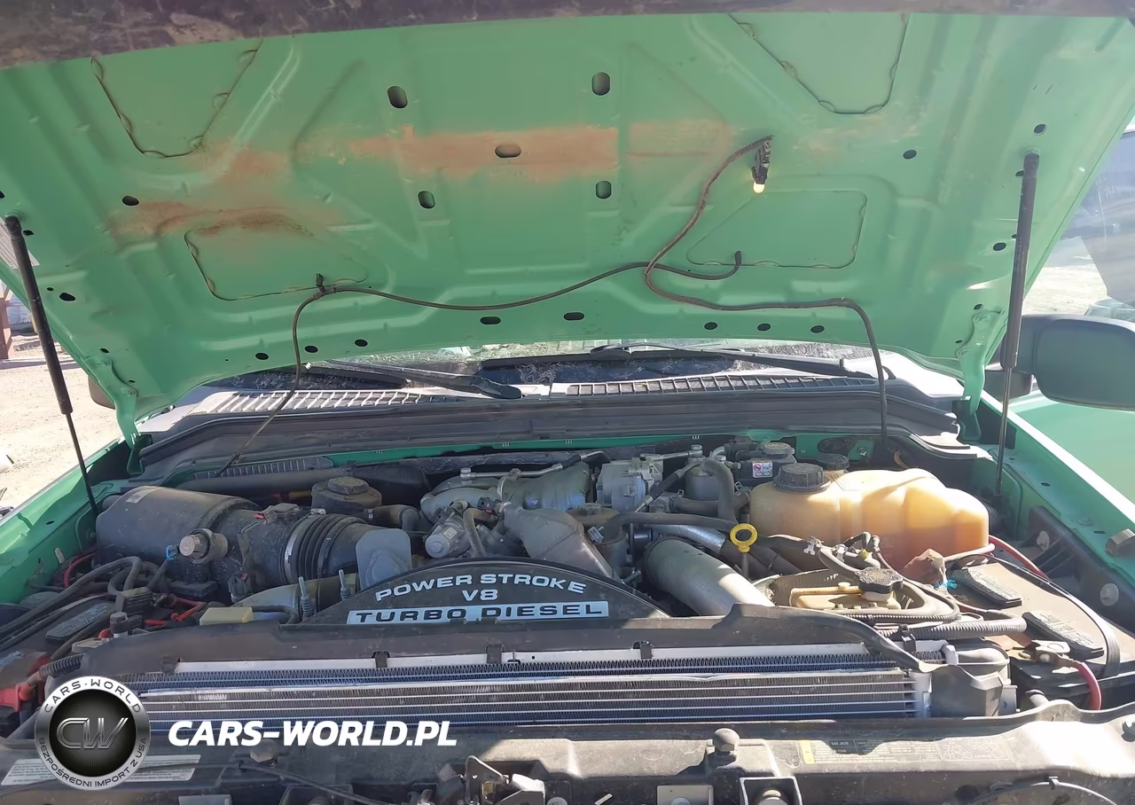 2009 Ford F-250 Fx4-Lariat-Xl-Xlt VIN:1FTSX21R79EA89482 - 10