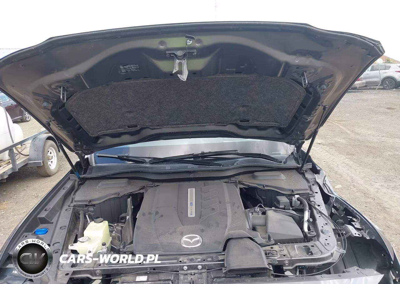 2024 Mazda Cx-90 Phev Premium Plus VIN:JM3KKEHA5R1120100 - 10