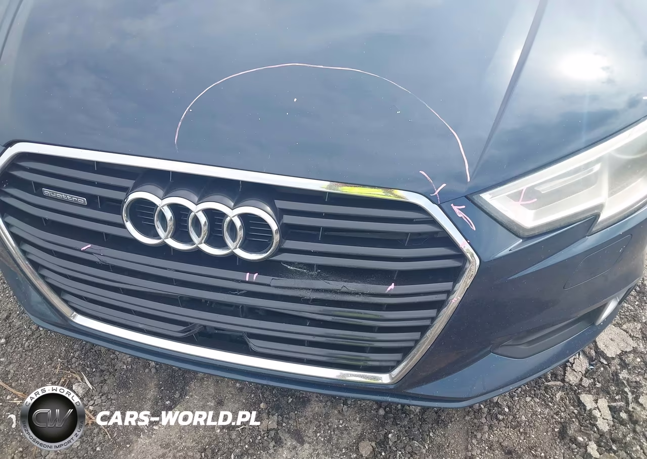 2017 Audi A3 2.0T Premium VIN:WAUB8GFF4H1049520 - 6