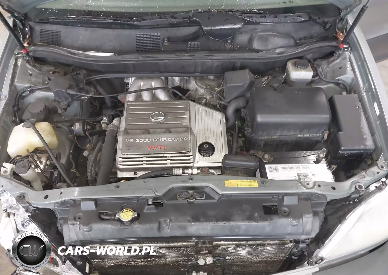 2001 Lexus Rx 300 VIN:JTJHF10U210233161 - 10