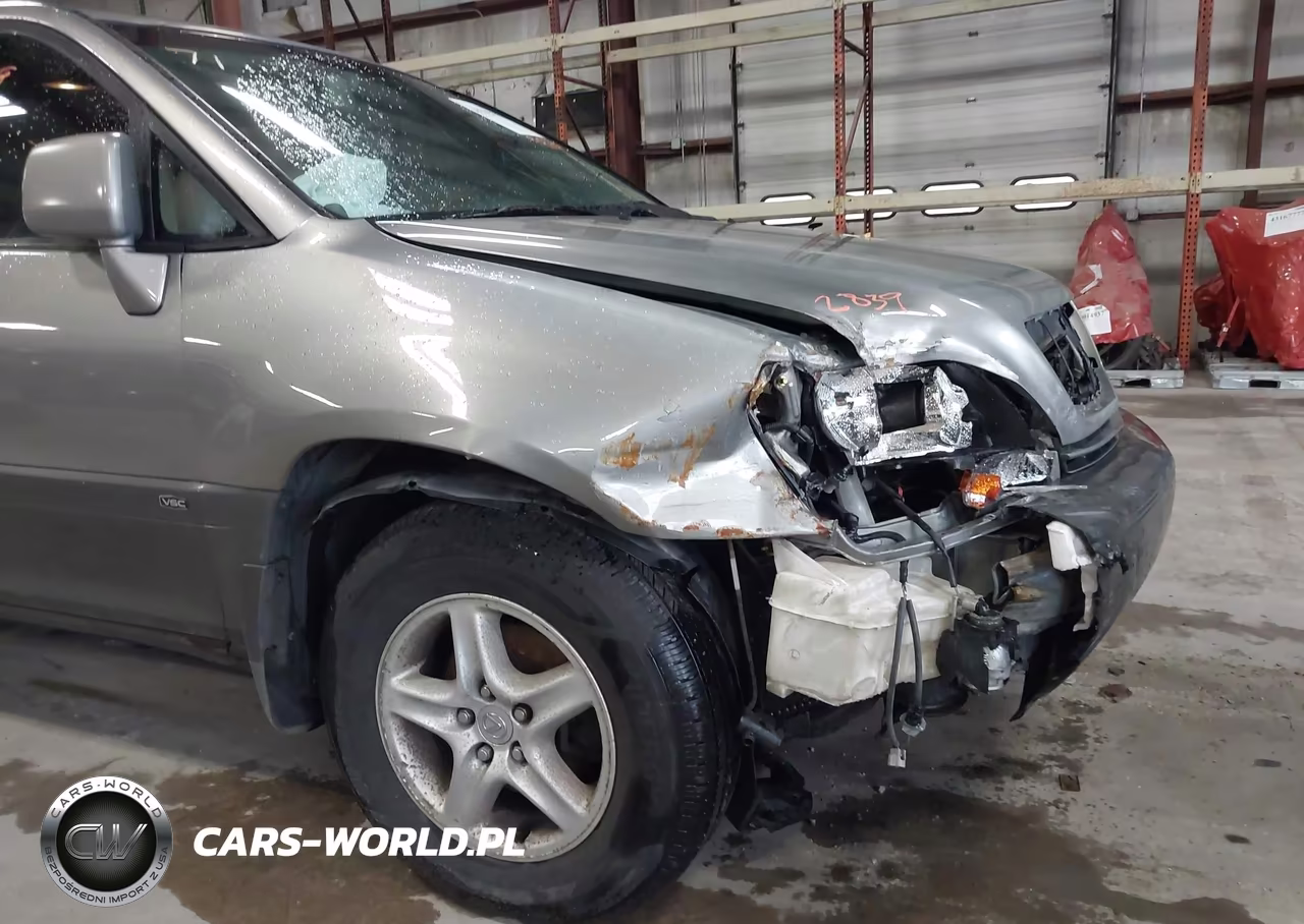 2001 Lexus Rx 300 VIN:JTJHF10U210233161 - 6