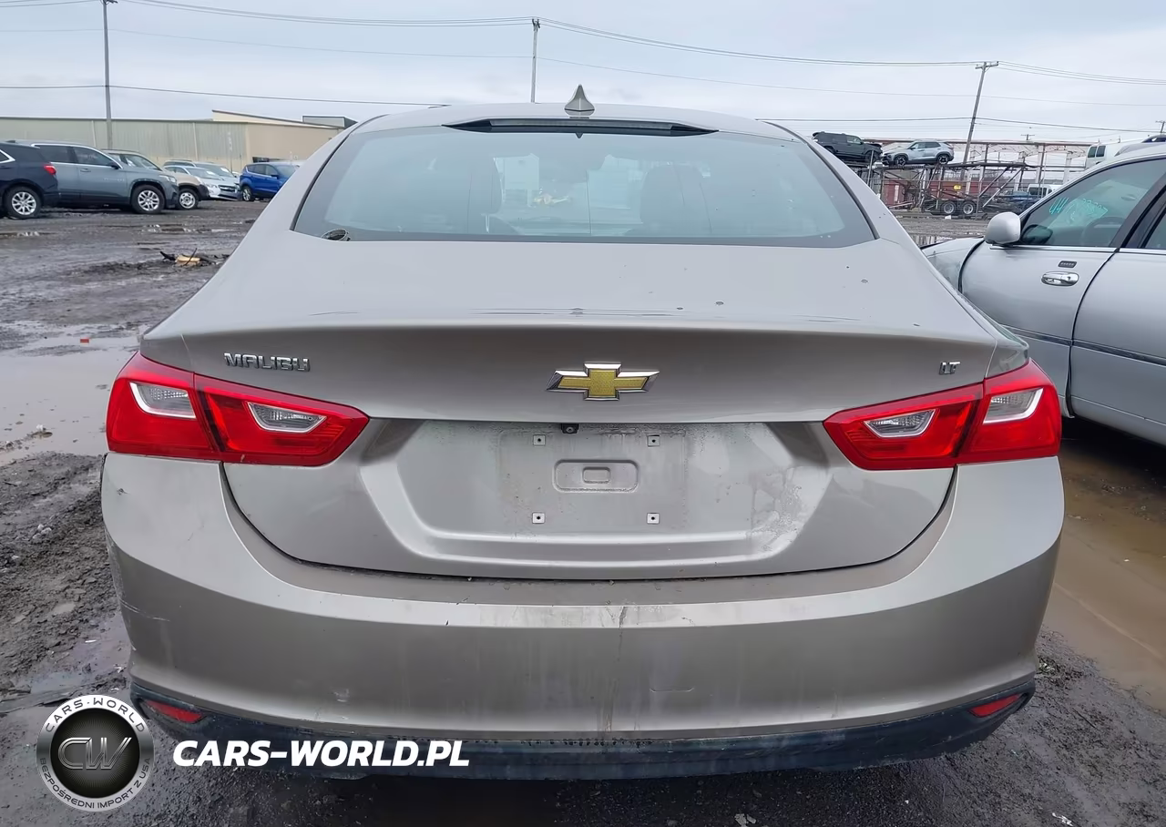 2023 Chevrolet Malibu Fwd 1Lt VIN:1G1ZD5ST7PF139896 - 17
