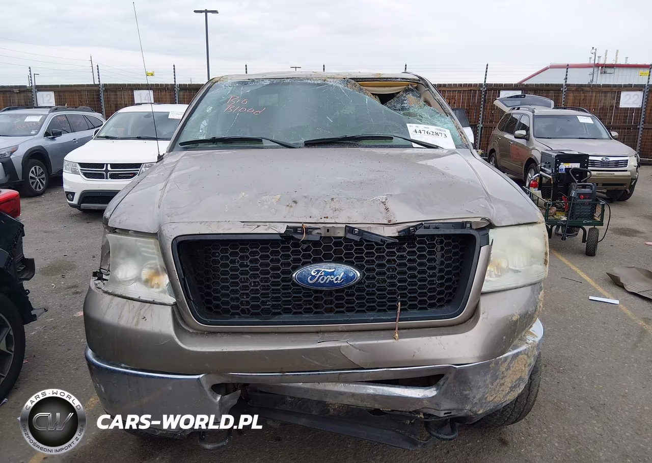 2006 Ford F-150 Fx4-Lariat-Xl-Xlt VIN:1FTPX14536FA64271 - 12
