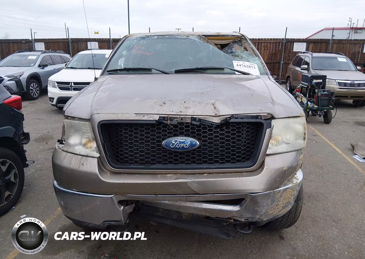 2006 Ford F-150 Fx4-Lariat-Xl-Xlt VIN:1FTPX14536FA64271 - 6