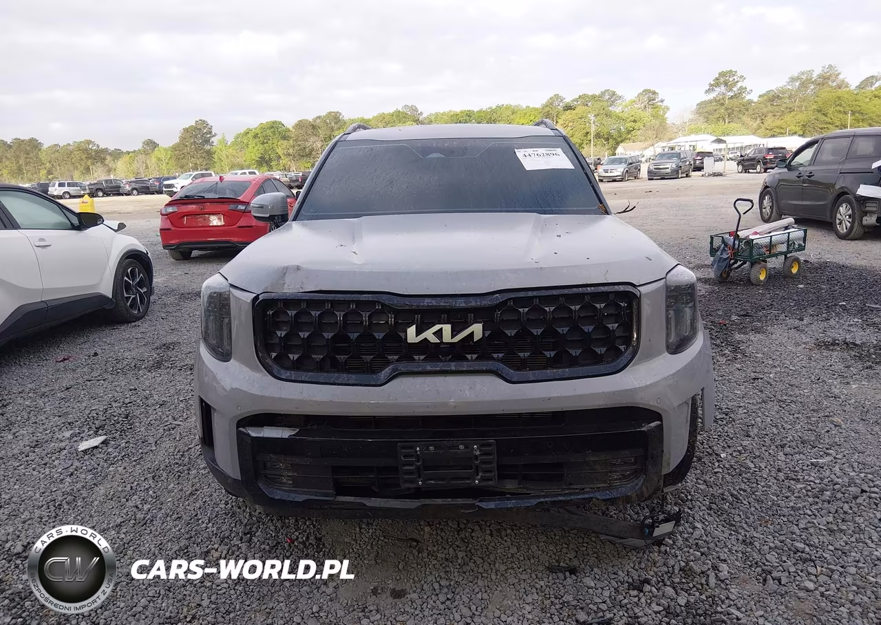 2024 Kia Telluride Sx X-Pro VIN:5XYP5DGCXRG460846 - 11