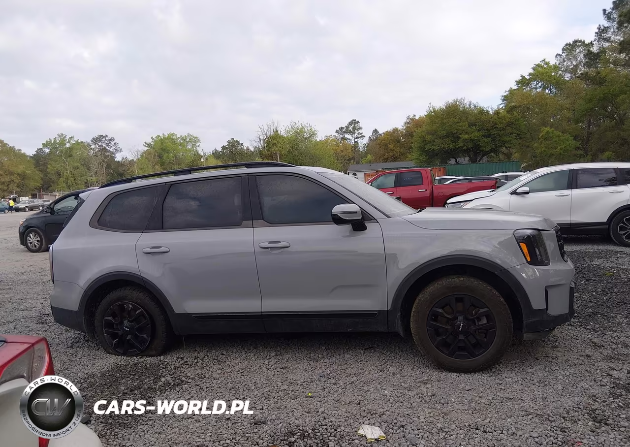 2024 Kia Telluride Sx X-Pro VIN:5XYP5DGCXRG460846 - 12