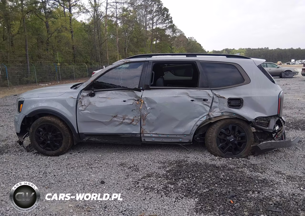 2024 Kia Telluride Sx X-Pro VIN:5XYP5DGCXRG460846 - 13