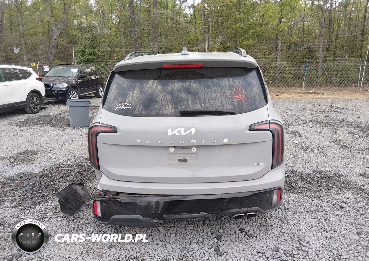 2024 Kia Telluride Sx X-Pro VIN:5XYP5DGCXRG460846 - 15