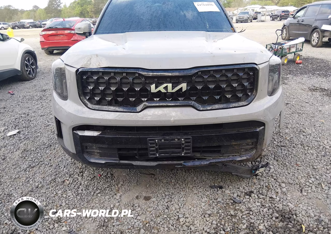2024 Kia Telluride Sx X-Pro VIN:5XYP5DGCXRG460846 - 16