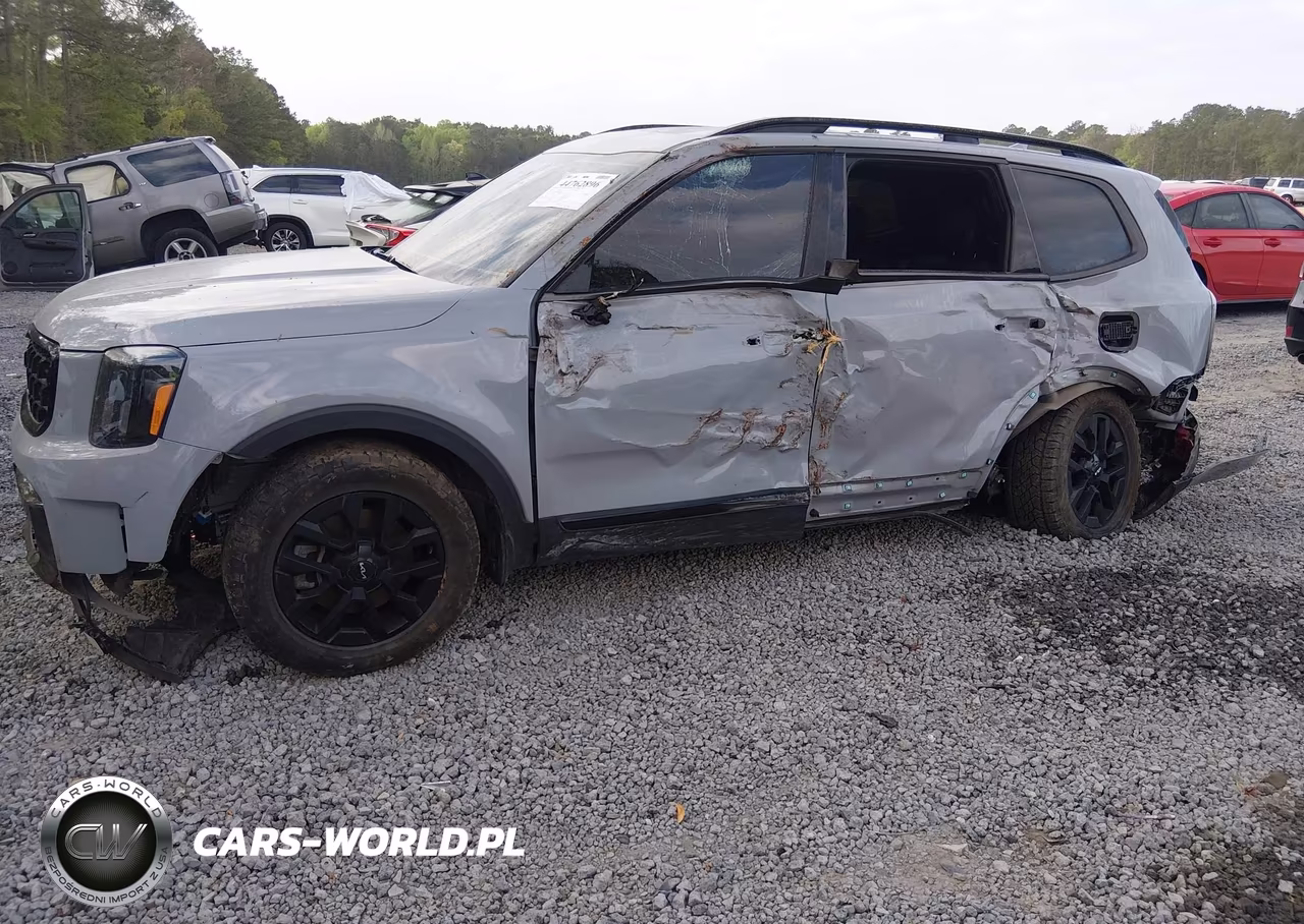 2024 Kia Telluride Sx X-Pro VIN:5XYP5DGCXRG460846 - 17