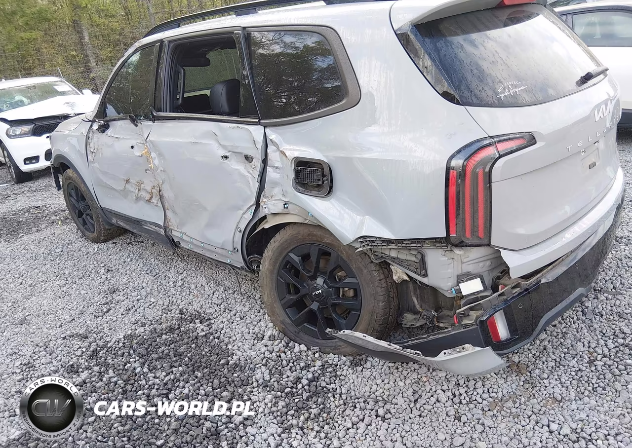 2024 Kia Telluride Sx X-Pro VIN:5XYP5DGCXRG460846 - 18