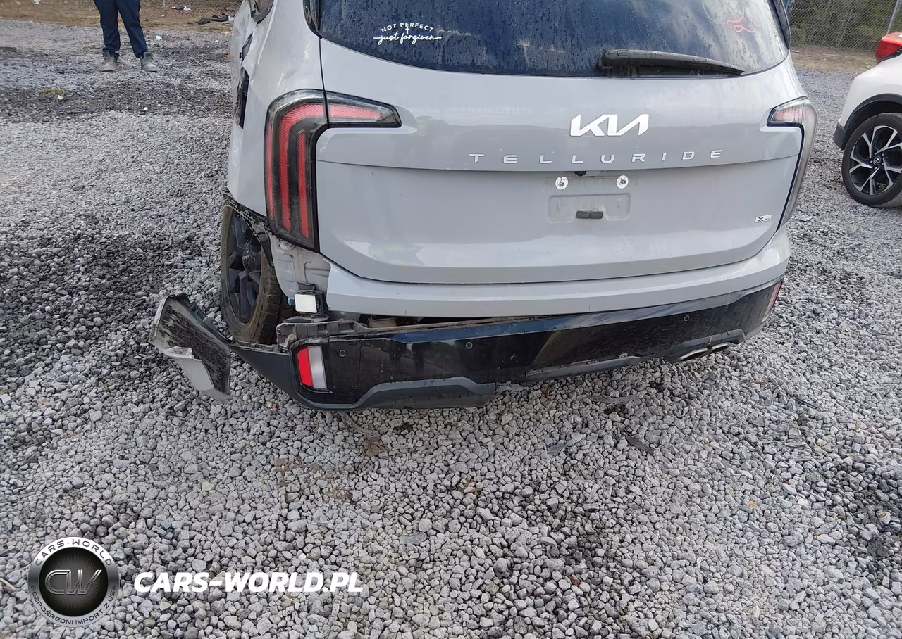 2024 Kia Telluride Sx X-Pro VIN:5XYP5DGCXRG460846 - 19