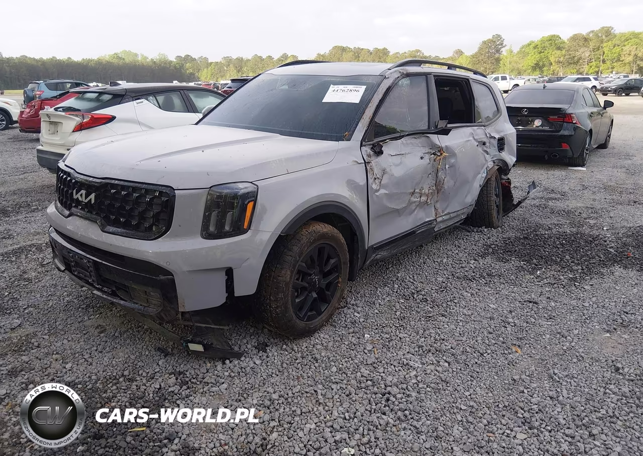 2024 Kia Telluride Sx X-Pro VIN:5XYP5DGCXRG460846 - 2