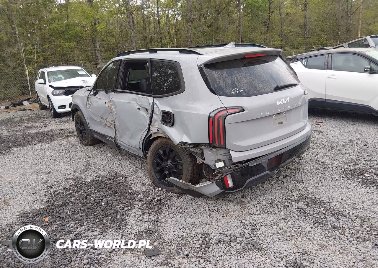2024 Kia Telluride Sx X-Pro VIN:5XYP5DGCXRG460846 - 3