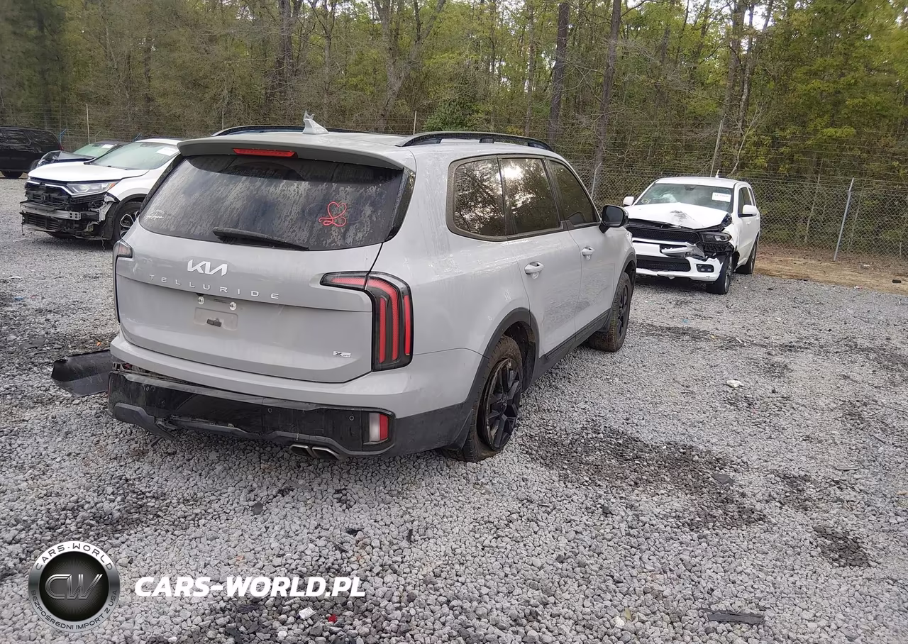 2024 Kia Telluride Sx X-Pro VIN:5XYP5DGCXRG460846 - 4